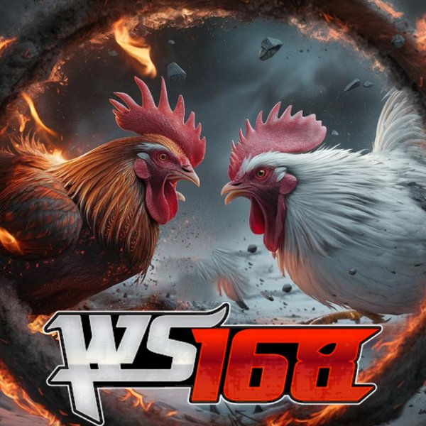 Keuntungan Bonus Winstreak dan Losestreak Sabung Ayam